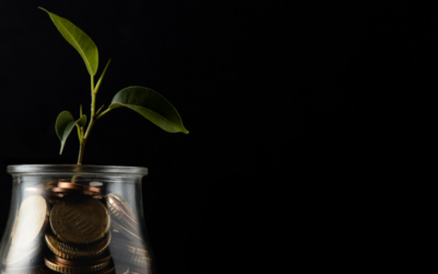 Is It Time to Rebalance Your Investment Portfolio?